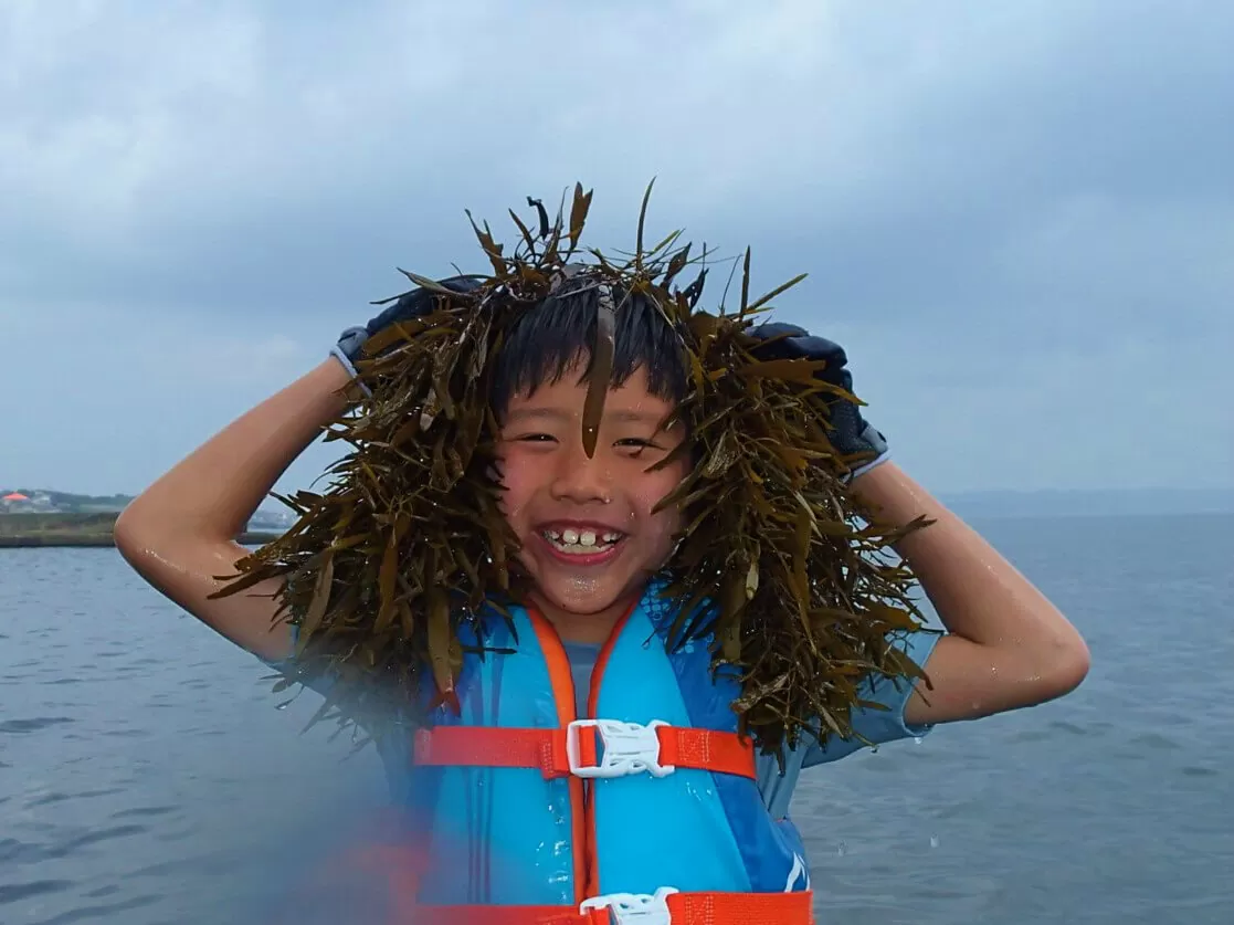 海藻の帽子2